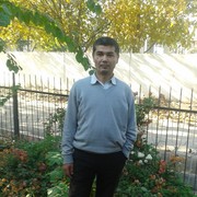  -,   , 51 ,   
