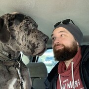 ���������� �����������, ���� ������� �����, 36 ���, ������������ ��� ������, ����� � ���������, c�������� ���������