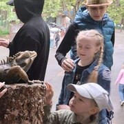 ���������� �����-���������, ���� ������� ����, 22 ����, ������������ ��� ����� � ���������, c�������� ���������