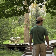 ���������� ������, ���� ����� ����, 21 ���, ������������ ��� ������, ����� � ���������