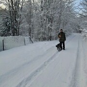 ���������� �������, ���� ������� ���������, 46 ���, ������������ ��� c�������� ���������