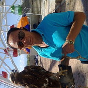  ,   , 59 ,   