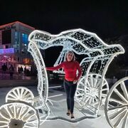 ���������� ������-��-����, ���� ������� �������, 49 ���, ������������ ��� c�������� ���������