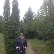 ,   , 66 ,     , c , 