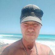   ,   , 51 ,   ,   