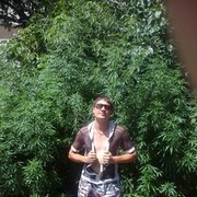  ,   DENIS, 35 ,   