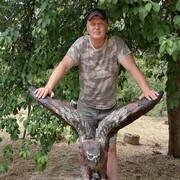 ���������� ���������, ���� ������� ������, 48 ���, ������������ ��� ������