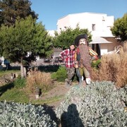 ���������� �����, ���� ������� ������, 45 ���, ������������ ��� ������, ����� � ���������, c�������� ���������