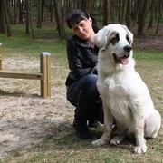 ���������� ����, ���� ������� �������, 38 ���, ������������ 