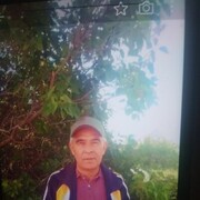  ,   , 65 ,     , c 