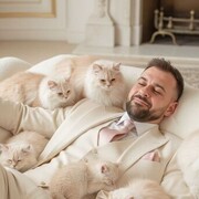  ,   , 36 ,   ,   , c , 