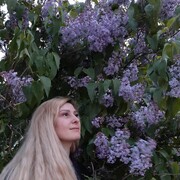  ,   , 43 ,  
