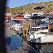  ,  , 52