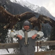  ,   , 43 ,  