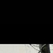 ���������� ����, ���� ������� Zorro, 42 ����, ������������ ��� ������, ����� � ���������, c�������� ���������