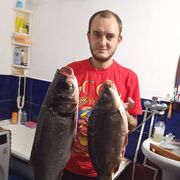  ,   XRUST, 35 ,   ,   , 