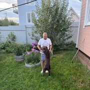 ���������� �����-���������, ���� ������� ������, 37 ���, ������������ ��� ������, ����� � ���������, c�������� ���������