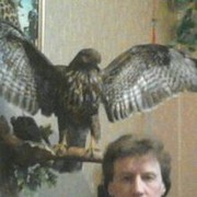 ,   Dgippo, 54 ,   ,   , c 
