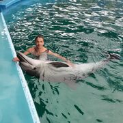 ���������� ��������, ���� ������� Egor, 32 ����, ������������ ��� ������, ����� � ���������, c�������� ���������, ���������