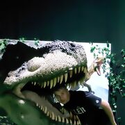 ���������� �����-��������, ������� ���, 43