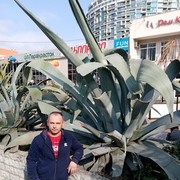 ���������� ���������, ���� ������� �����, 39 ���, ������������ ��� ������, ����� � ���������, c�������� ���������