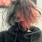  ,    , 21 ,   ,   