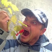  ,   , 51 ,   