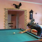  ,   , 35 ,   