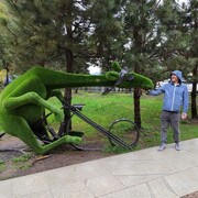 ���������� ����, ���� ������� �������, 42 ����, ������������ ��� ������, ����� � ���������