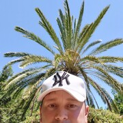 ���������� ������, ���� ������� BoB Cavalli, 40 ���, ������������ ��� ������, ����� � ���������, c�������� ���������