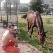 ���������� ������, ���� ������� ���������, 36 ���, ������������ ��� ����� � ���������, c�������� ���������, ���������