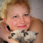  ,   Hersonkaira, 54 ,   ,   , c 