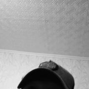  ,   , 35 ,   c 