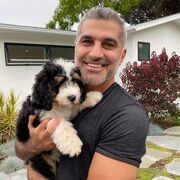 ���������� ������, ���� ������� ���������, 61 ���, ������������ ��� ������, ����� � ���������