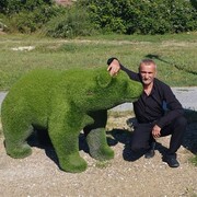 ���������� �����������, ���� ������� �����, 55 ���, ������������ ��� ������, ����� � ���������, c�������� ���������, ���������