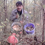  ,   Dimon, 41 ,   