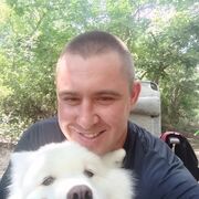 ���������� ������������, ���� ������� ���������, 38 ���, ������������ ��� ������, ����� � ���������