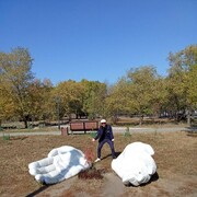 ���������� �����������, ���� ������� ����, 37 ���, ������������ ��� ������, ����� � ���������