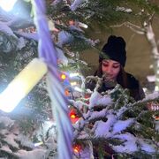 ���������� �����, ���� ������� �����, 23 ����, ������������ ��� ������, ���������