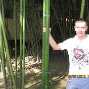 ���������� ���������, ���� ������� Stason, 42 ����, ������������ ��� ����� � ���������, c�������� ���������