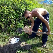 ����� �������