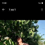 ���������� ���������, ���� ������� �������, 44 ����, ������������ ��� ����� � ���������, c�������� ���������