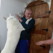  ,   Dragan, 60 ,     , c 