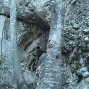 ���������� �����������, ���� ������� ������, 38 ���, ������������ ��� ������, ����� � ���������, c�������� ���������, ���������