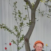 ���������� �����-���������, ���� ������� �������, 55 ���, ������������ ��� ������