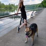 ���������� ������, ���� ������� ����, 44 ����, ������������ ��� ����� � ���������, c�������� ���������