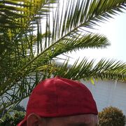 ���������� ������������, ���� ������� ������, 39 ���, ������������ ��� c�������� ���������, ���������