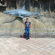  -,   , 31 ,   ,   , c 
