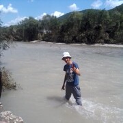 ���������� ����, ���� ������� ����, 36 ���, ������������ ��� ������, ����� � ���������, c�������� ���������, ���������