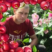 ���������� �����������, ���� ������� ������, 44 ����, ������������ 